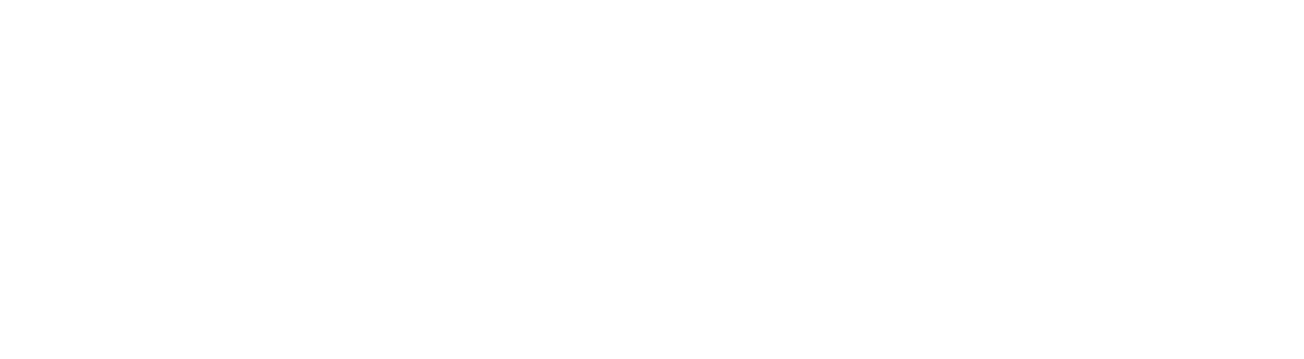 43LE