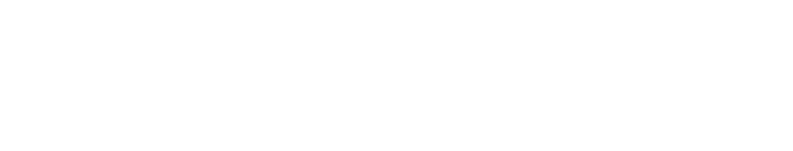 LS SERIES